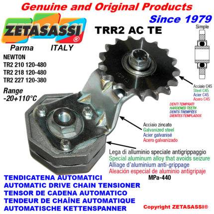 ZETASASSI TRR2227AC58STE Automatic arm chain tensioner