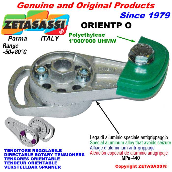 ZETASASSI ORIENTPOU Directable rotary chain tensioner