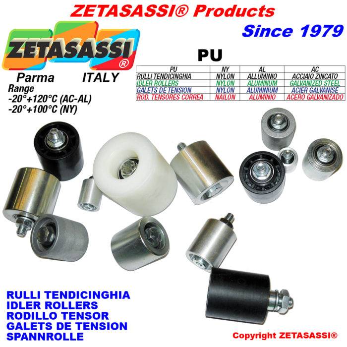 ZETASASSI PU8090NYM20 Idler roller with bearing