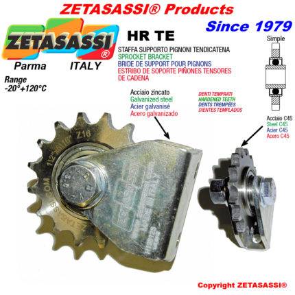 ZETASASSI HR31STE Bracket with hardened sprocket acte