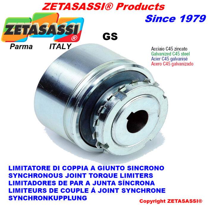 ZETASASSI GS95 Synchronous joint torque limiter