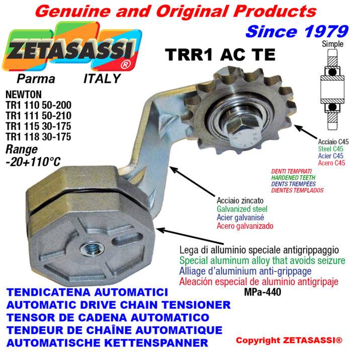 ZETASASSI TRR1118AC58STE Automatic arm chain tensioner