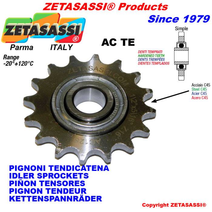 ZETASASSI AC58STE Hardened teeth sprockets acte with bearing