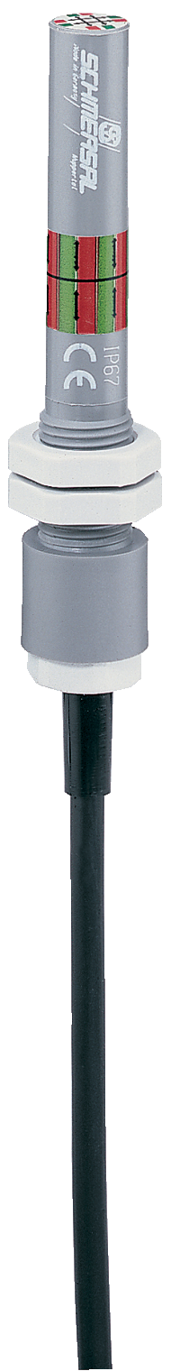 Schmersal BN65-RZ/V Magnetic reed switch