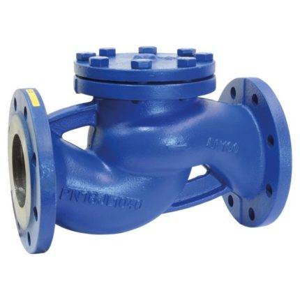 END-Armaturen CK500308 Check valve DN65