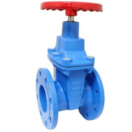 END-Armaturen GVE-GGG-EPDM-040 Gate Valve DN40