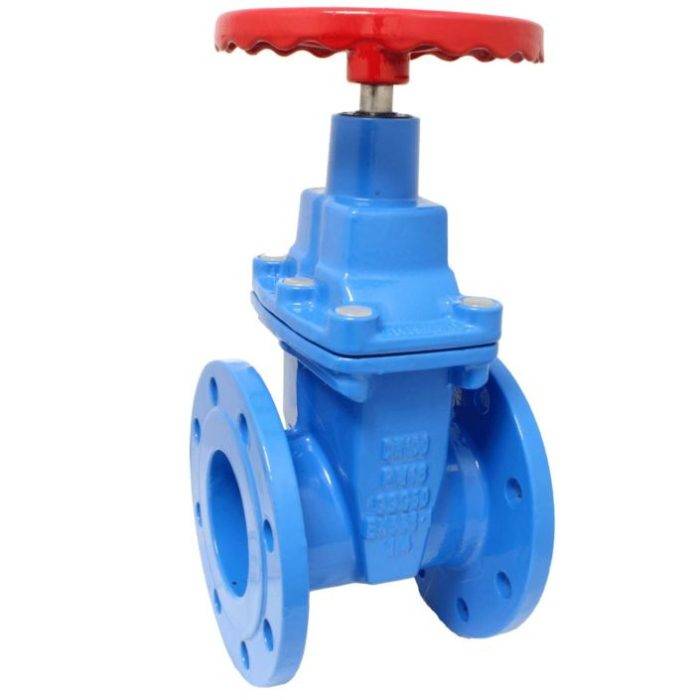 END-Armaturen GVE-GGG-EPDM-065 Gate Valve DN65