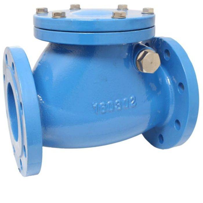 END-Armaturen SCV-GGG-EPDM-050 Swing-check valve DN50